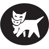 Jdm Maman Et Bébé Chat