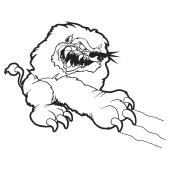 lion