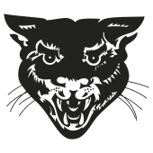 lynx