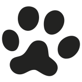 empreinte chien