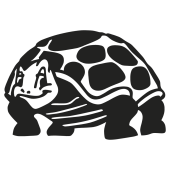 TORTUE