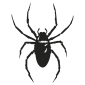 araignée