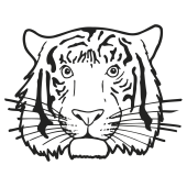 tigre