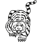 tigre