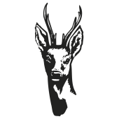 cerf