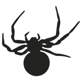 araignée