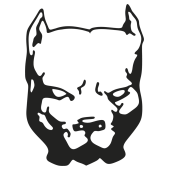 chien pit bull