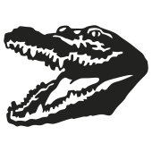 crocrodile