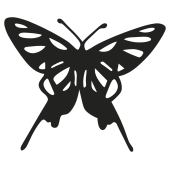 papillon