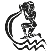Sticker Signe du Zodiaque Verseau