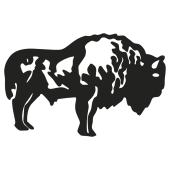 bison