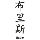Prenom Chinois Brice