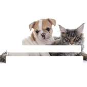 Sticker Cb Bouledogue Chat - Skin Pour Carte Bancaire
