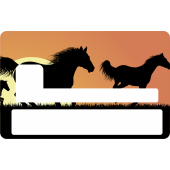 Sticker Cb Chevaux - Skin Pour Carte Bancaire