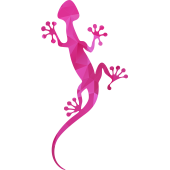 Autocollant Salamandre Rose 3