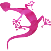 Autocollant Salamandre Rose 4