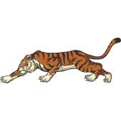 Autocollant Tigre 2