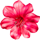 Autocollants Fleur Rose 2 1
