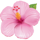 Autocollants Fleur Tropical 3