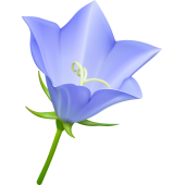 Autocollants Fleur Bleue