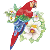 Autocollants Fleur Perroquet Tropical