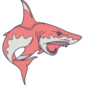 Autocollant Requin