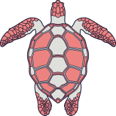 Autocollant Tortue