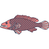 Autocollant Poisson 1 1