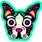 Autocollant Chien Skull Coloré Vert