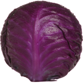 Autocollant Fruits et legumes Chou rouge