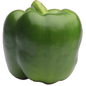 Autocollant Fruits et legumes Poivron