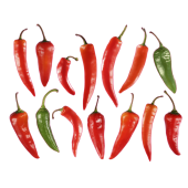 Autocollant Fruits et legumes Piments