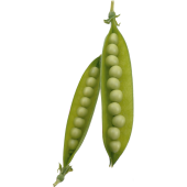 Autocollant Fruits et legumes Petit Pois