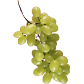 Autocollant Fruits et legumes Raisins
