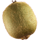 Autocollant Fruits et legumes kiwi