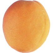 Autocollant Fruits et legumes Abricot