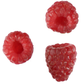Autocollant Fruits et legumes Framboises