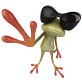 Autocollant Grenouille Men In Black