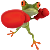 Autocollant Grenouille 1
