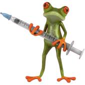 Autocollant Grenouille 7