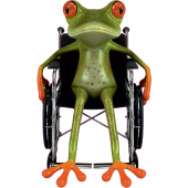 Autocollant Grenouille 10