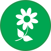 Panneau Vert fleur