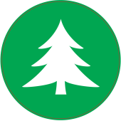 Panneau Vert Sapin