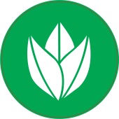 Panneau Vert Plante