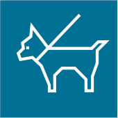 Panneau Indication Chiens autorisés