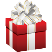 Déco Noel Cadeau 3