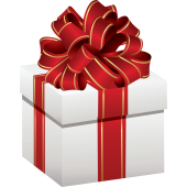 Déco Noel Cadeau 7