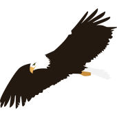 Autocollant Aigle En Vol