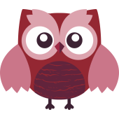 Autocollant Animaux Chouette 4