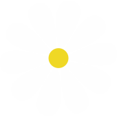 Autocollant Marguerite 1